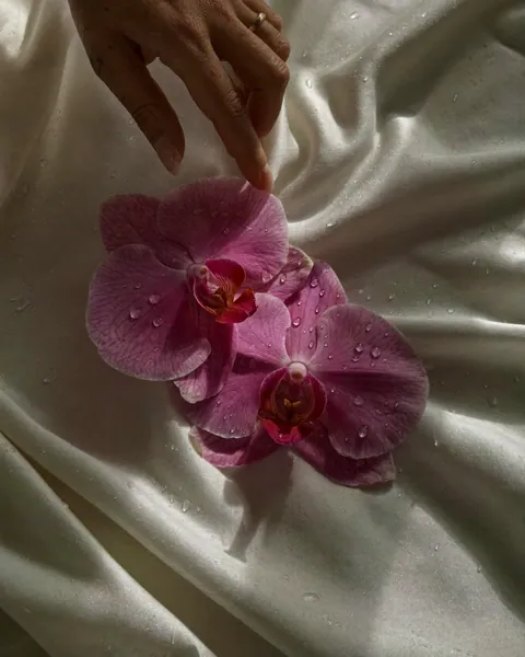 Orquídeas rosadas sobre una tela suave