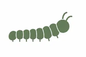 Oruga