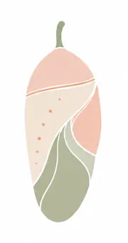 Pupa